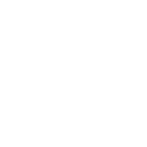 Chimney Care Service